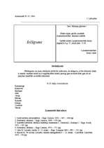 Konspekts 'Latviešu valodas stili, stilu kļūdas un leksikas slāņi', 13.