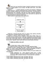 Referāts 'Vadītāja darbības analīze', 5.