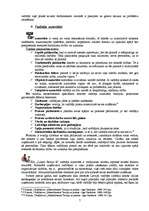 Referāts 'Vadītāja darbības analīze', 7.