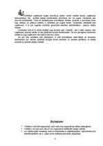 Referāts 'Vadītāja darbības analīze', 9.