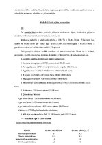 Prezentācija 'Nodokļu sistēma Čehijā', 28.