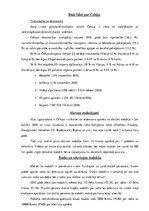 Prezentācija 'Nodokļu sistēma Čehijā', 33.