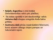 Prezentācija 'Argentīna, Buenosairesa', 5.