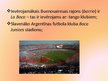 Prezentācija 'Argentīna, Buenosairesa', 15.