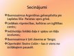 Prezentācija 'Argentīna, Buenosairesa', 16.