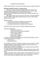 Konspekts 'Mūzikas darbības veidi', 3.