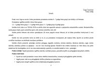 Prakses atskaite 'Aktīvā mācību un audzināšanas prakse pirmsskolā', 2.