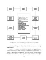 Diplomdarbs 'Klastera izveides iespējas mēbeļu industrijā Latvijā', 56.