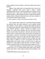 Diplomdarbs 'Klastera izveides iespējas mēbeļu industrijā Latvijā', 66.