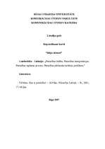 Konspekts 'Patiesības būtība. Patiesības interpretācijas', 1.