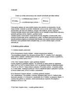 Referāts 'Datora videokarte', 1.