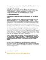 Referāts 'Datora videokarte', 2.