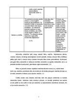 Referāts 'Politika', 7.