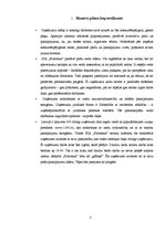 Biznesa plāns 'Biznesa plāns "Florienna"', 3.