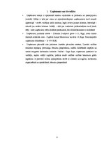 Biznesa plāns 'Biznesa plāns "Florienna"', 4.