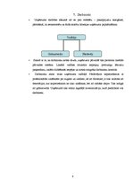 Biznesa plāns 'Biznesa plāns "Florienna"', 9.