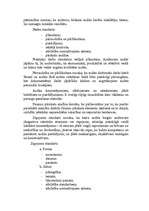 Referāts 'Kāda ir audita loma un vieta Latvijas ekonomikas finanšu sistēmā', 7.