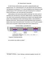 Biznesa plāns 'Uzņēmējdarbības ekonomika', 13.