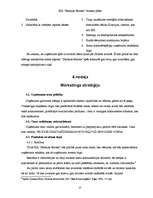 Biznesa plāns 'Uzņēmējdarbības ekonomika', 23.