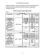 Biznesa plāns 'Uzņēmējdarbības ekonomika', 25.