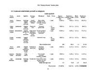 Biznesa plāns 'Uzņēmējdarbības ekonomika', 30.