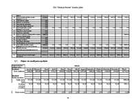 Biznesa plāns 'Uzņēmējdarbības ekonomika', 46.