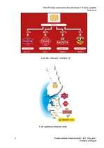 Prakses atskaite 'A/s "Cēsu alus"', 7.