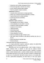 Prakses atskaite 'A/s "Cēsu alus"', 29.