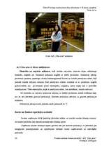 Prakses atskaite 'A/s "Cēsu alus"', 33.