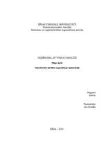 Referāts 'Uzņēmuma "N" finanšu analīze', 1.