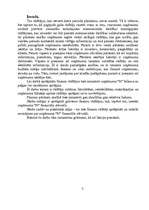 Referāts 'Uzņēmuma "N" finanšu analīze', 3.