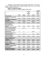 Referāts 'Uzņēmuma "N" finanšu analīze', 5.