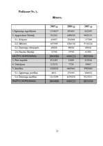 Referāts 'Uzņēmuma "N" finanšu analīze', 15.