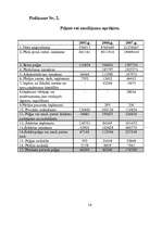 Referāts 'Uzņēmuma "N" finanšu analīze', 16.