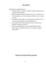 Prakses atskaite 'Finanšu grāmatvedība', 33.