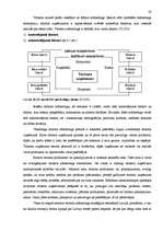 Diplomdarbs 'Tūrisma attīstības tendences Ventspils pilsētā', 28.