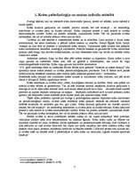 Referāts 'Krāsu ietekme uz cilvēka personību', 4.