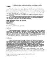 Referāts 'Krāsu ietekme uz cilvēka personību', 5.