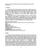 Referāts 'Krāsu ietekme uz cilvēka personību', 7.