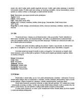 Referāts 'Krāsu ietekme uz cilvēka personību', 8.