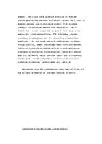 Eseja 'Socializācija', 3.