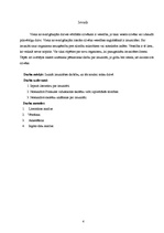 Referāts 'Imunitāte', 4.