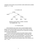 Referāts 'Imunitāte', 6.