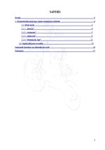 Referāts 'Motosporta pamatvērtības pārmaiņu laikos Latvijā', 2.