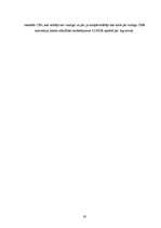 Referāts 'Starptautisko pārvadājumu organizēšanas īpatnības', 19.