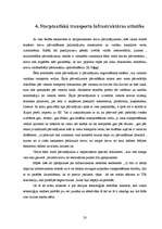 Referāts 'Starptautisko pārvadājumu organizēšanas īpatnības', 20.