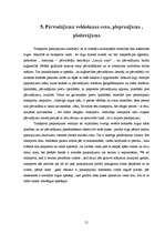 Referāts 'Starptautisko pārvadājumu organizēšanas īpatnības', 21.