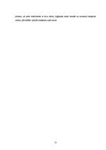 Referāts 'Starptautisko pārvadājumu organizēšanas īpatnības', 23.