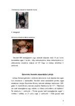 Referāts 'Latvijas aizsargājamie dzīvnieki', 9.