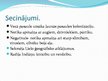 Prezentācija 'Kristofors Kolumbs un Amerikas atklāšana', 16.